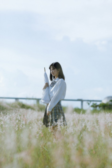 免费b站app软件